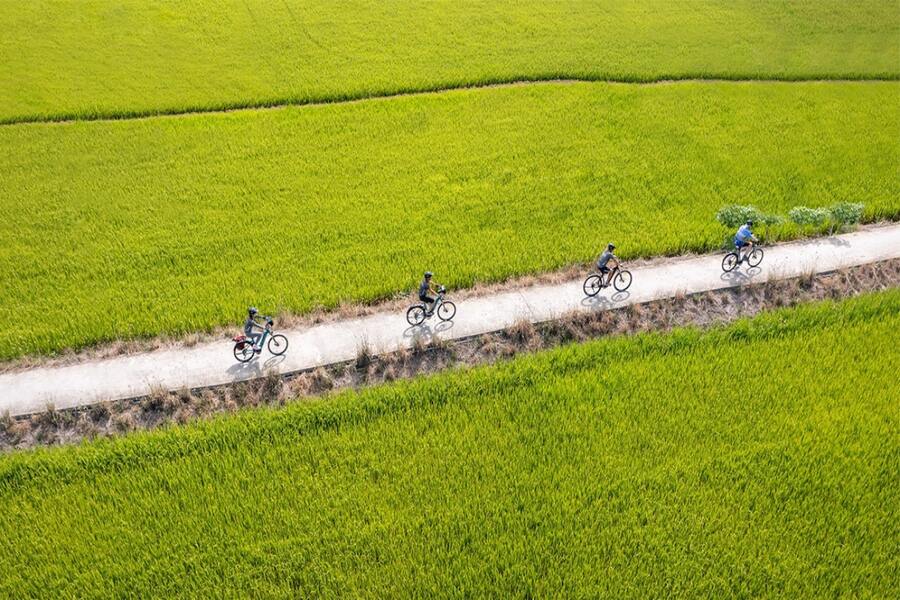 Hoi An Bicycle Trip 1 Day
